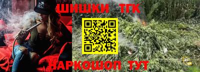 тгк Славгород